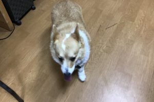 お泊まり中☆