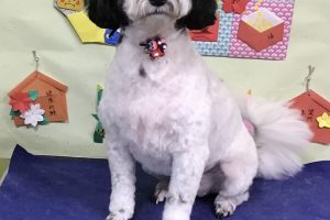 1月のお友達☆
