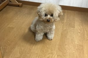 お泊まり☆