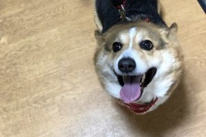 お泊まり中☆