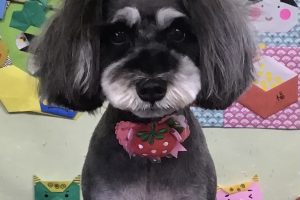 1月のお友達☆