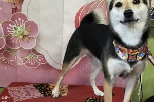 1月のお友達☆