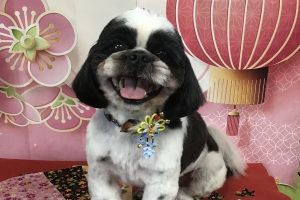 1月のお友達☆