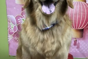 1月のお友達☆