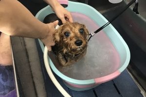 1月のお友達☆