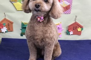 1月のお友達☆