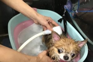 1月のお友達☆