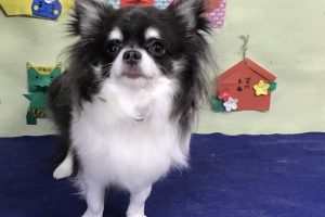 1月のお友達☆