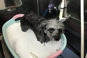 1月のお友達☆