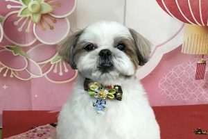 1月のお友達☆