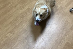 お泊まり☆