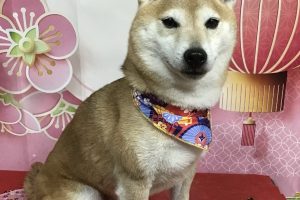 1月のお友達☆