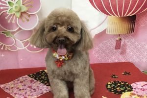 1月のお友達☆