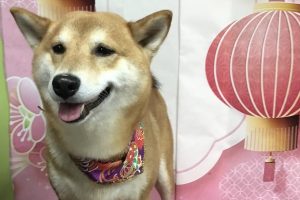 1月のお友達☆