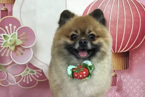 1月のお友達☆