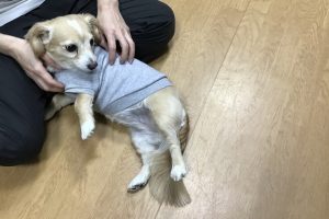 お泊まり中☆