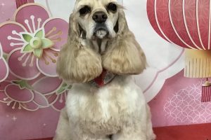 1月のお友達☆