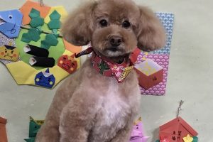 1月のお友達☆