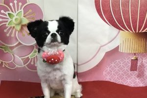 1月のお友達☆