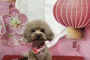 1月のお友達☆