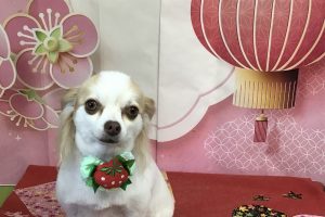 1月のお友達☆