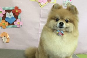 2月のお友達☆
