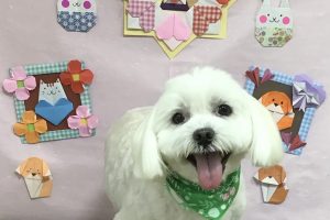 2月のお友達☆