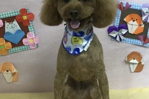 2月のお友達☆
