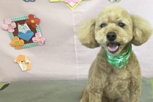 2月のお友達☆