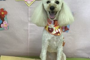 2月のお友達☆