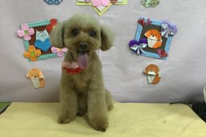 2月のお友達☆