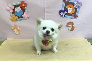 2月のお友達☆
