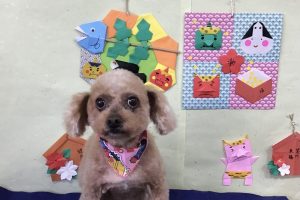 2月のお友達☆