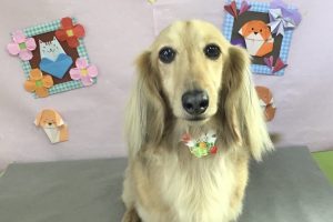 2月のお友達☆