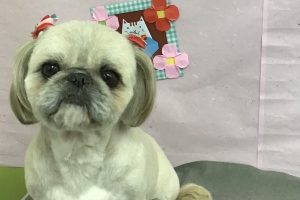 2月のお友達☆
