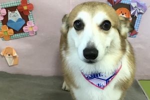 2月のお友達☆