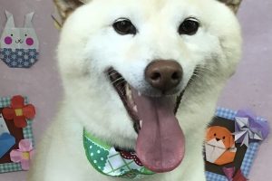 2月のお友達☆