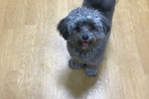 お泊まり中☆