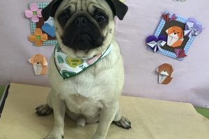 2月のお友達☆