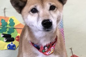2月のお友達☆