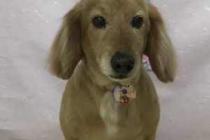 2月のお友達☆