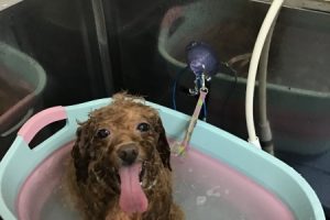 2月のお友達☆