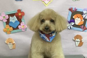 2月のお友達☆