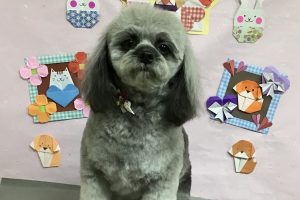 2月のお友達☆