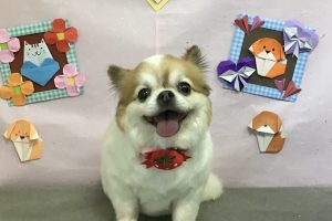 2月のお友達☆