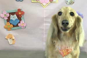 2月のお友達⭐︎