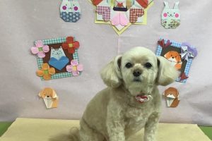 2月のお友達☆