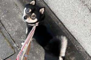 お泊まり中☆