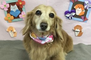2月のお友達☆