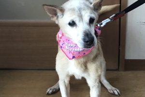 2月のお友達☆